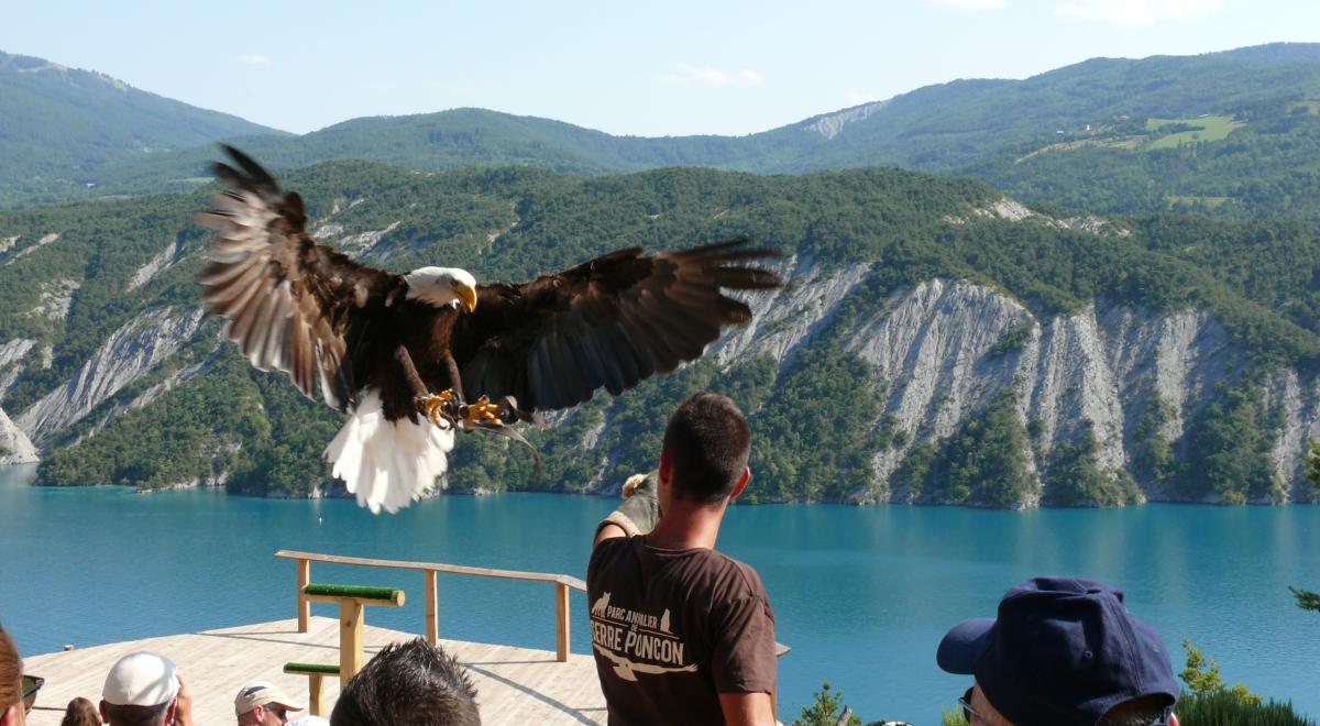 Parc Animalier de Serre-Ponçon LE SAUZE-DU-LAC - Parc Animalier de Serre-Ponçon LE SAUZE-DU-LAC