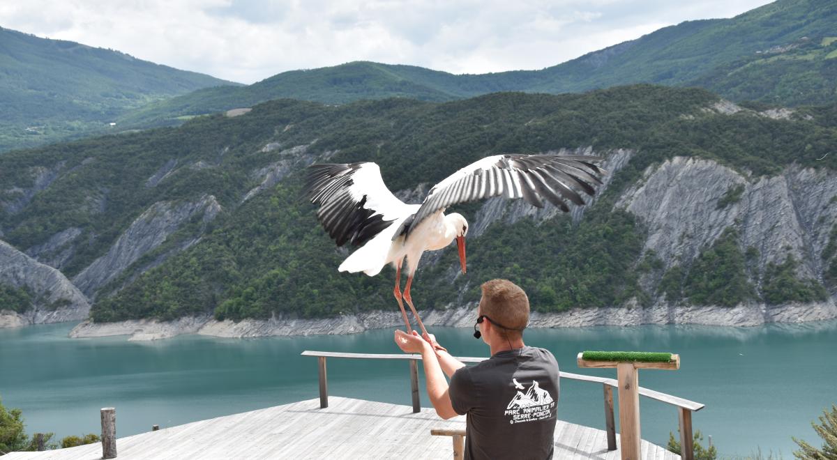 Parc Animalier de Serre-Ponçon LE SAUZE-DU-LAC - Parc Animalier de Serre-Ponçon LE SAUZE-DU-LAC