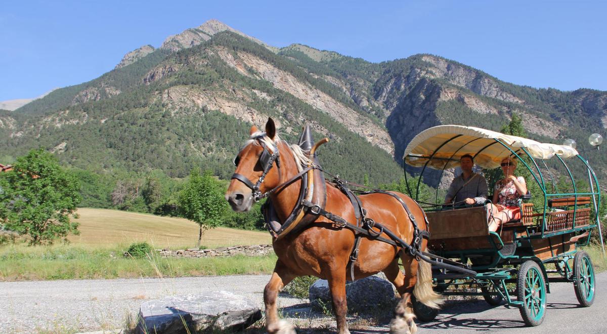 La Calèche des 3 Plumes - Jausiers - La Calèche des 3 Plumes
