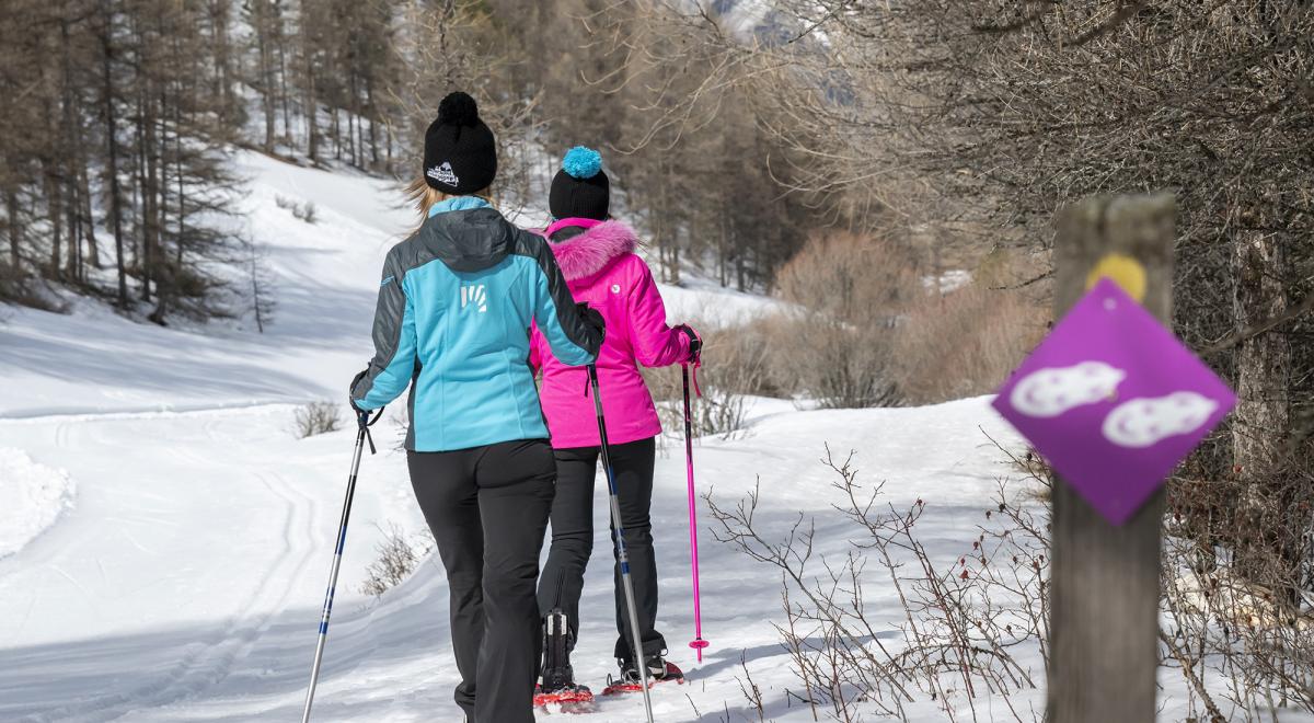 Itinéraire raquettes Piste du bois de la Silve - Itinéraire raquettes Piste du bois de la Silve