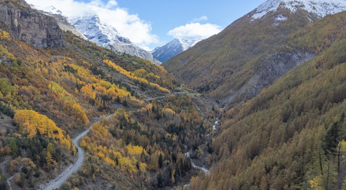 Col de la Cayolle, col des Champs, col d'Allos - &quot;les 3 cols&quot; - Col de la Cayolle