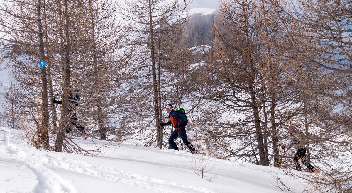 Itinéraire ski de randonnée balisé du Sauze - Les Cabanes - Itinéraire ski de randonnée balisé du Sauze - Les Cabanes