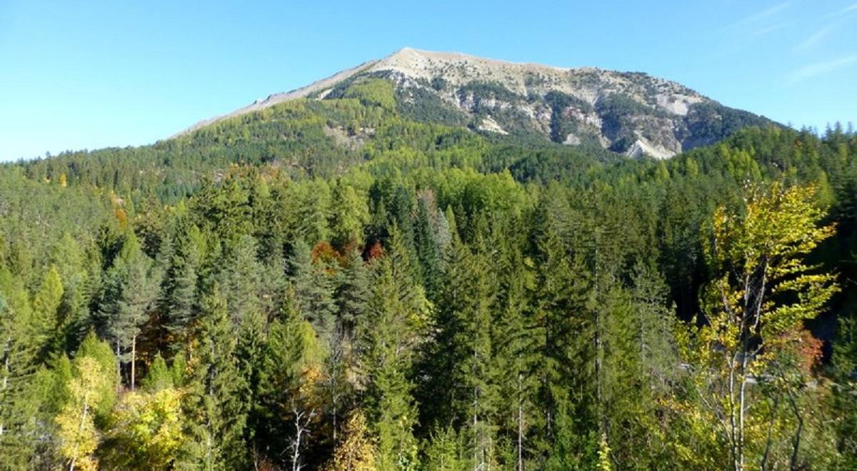 La forêt du Labouret n°23 - Le_vernet_forêt_du_labouret