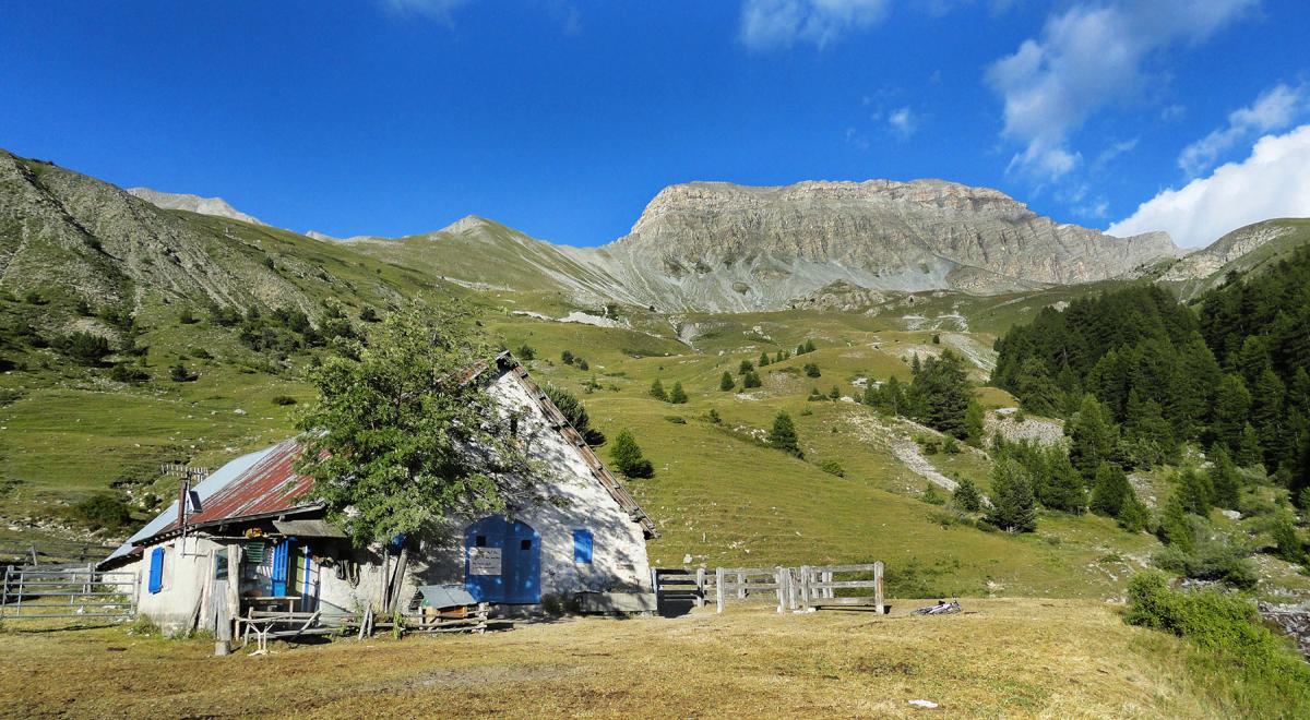La Cabane des mulets n°15 - La Cabane des mulets
