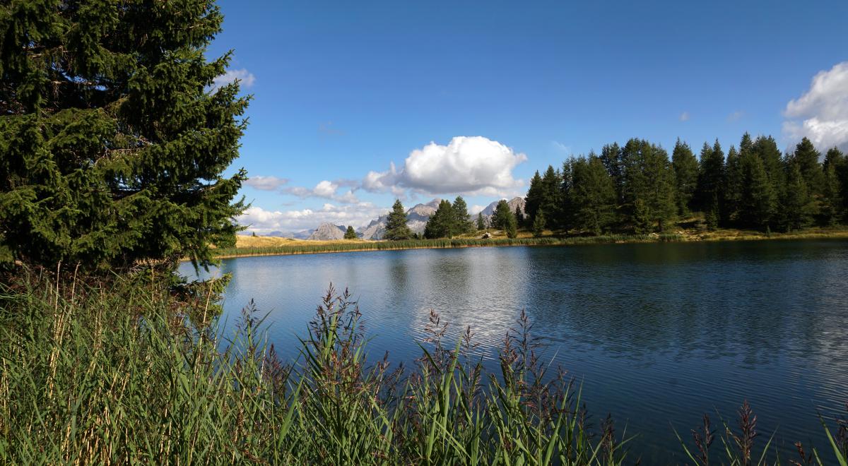 Les Lacs du Col Bas et Batterie de Dormillouse n°40b - Lac_milieu_Col_Bas