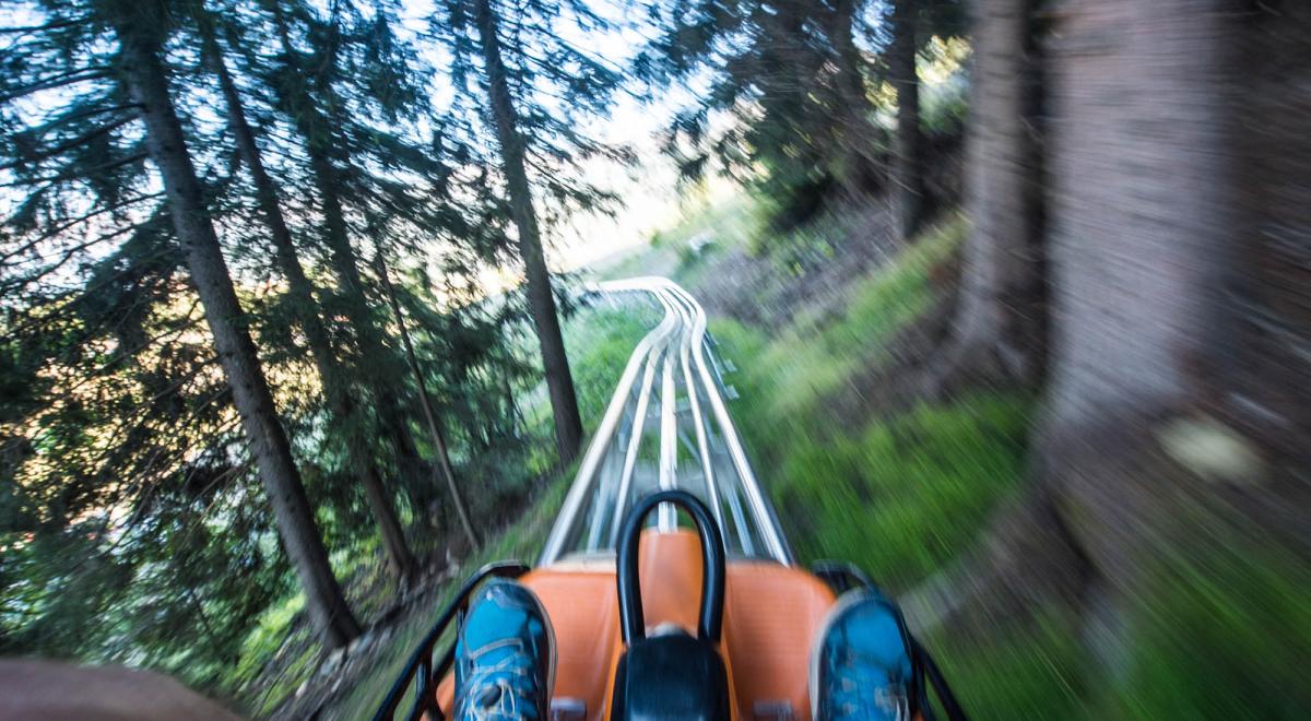 Luge 4 saisons Praloops - Luge 4 saisons Praloops