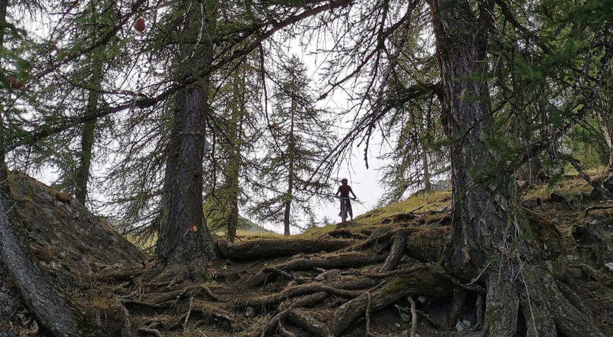 Piste VTT DH Blue Brec - Piste VTT DH Blue Brec