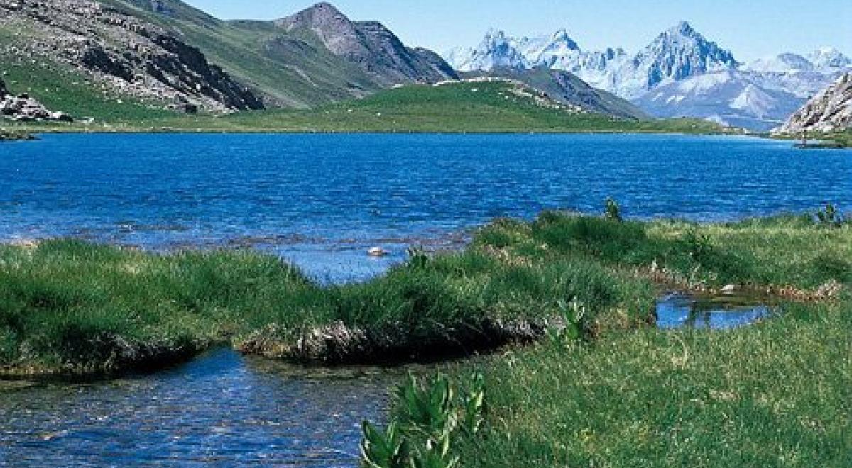 Lac du lauzanier - Le lac du Lauzanier en été, avec en arrière plan la Tête de Sautron (3165m), la Rocca Blanca (3193m) et la Meyna (3067m)