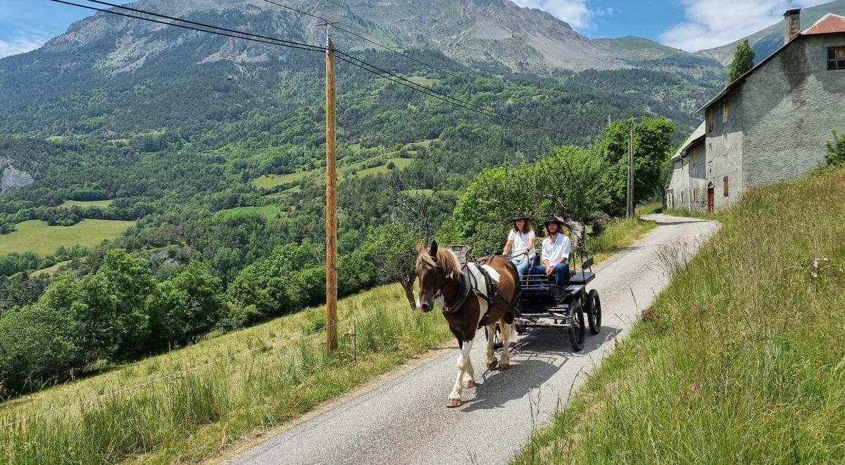 Les Crinières des Cimes - Balade en calèche à Rioclar - Les Crinières des Cimes