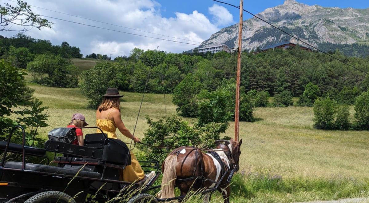 Les Crinières des Cimes - Balade en calèche à Rioclar - Les Crinières des Cimes