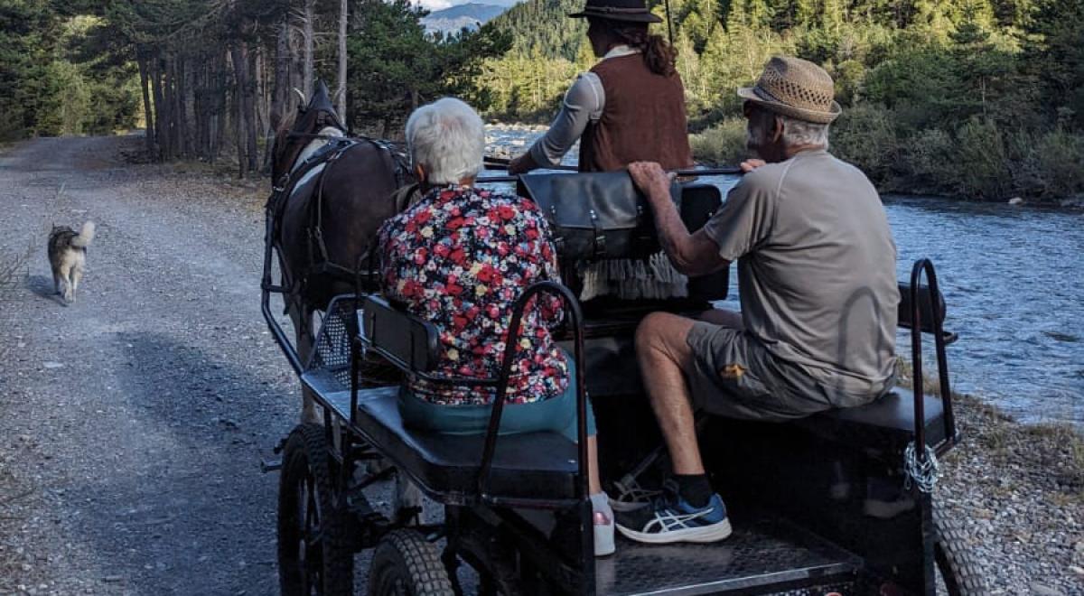 Les Crinières des Cimes - Balade en calèche à Rioclar - Les Crinières des Cimes
