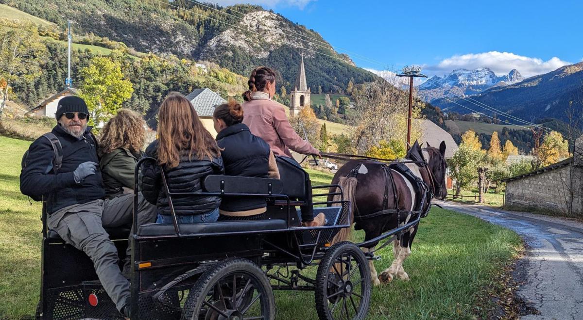 Les Crinières des Cimes - Balade en calèche à Rioclar - Les Crinières des Cimes