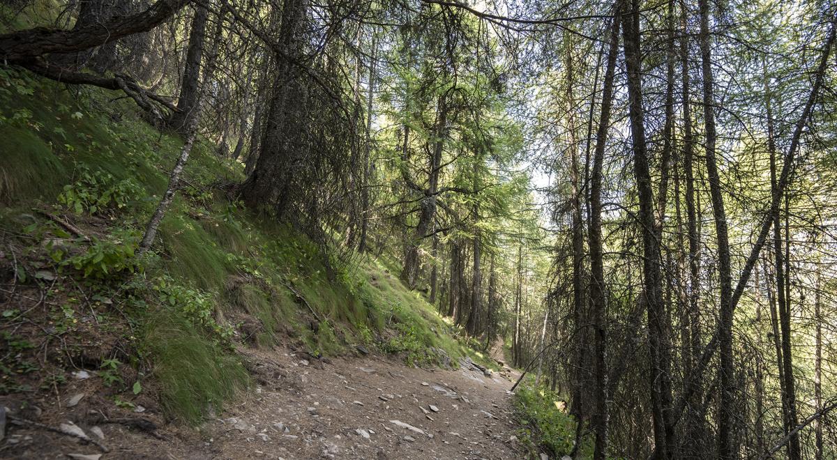 Randonnée Parual - Vallon du Sause - Randonnée Parual - Vallon du Sause