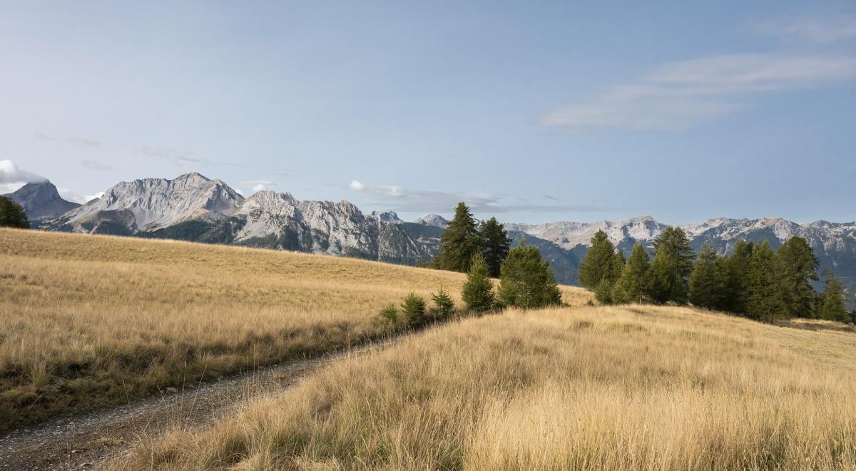 Randonnée Lac de l'Aupillon - Randonnée Lac de l'Aupillon