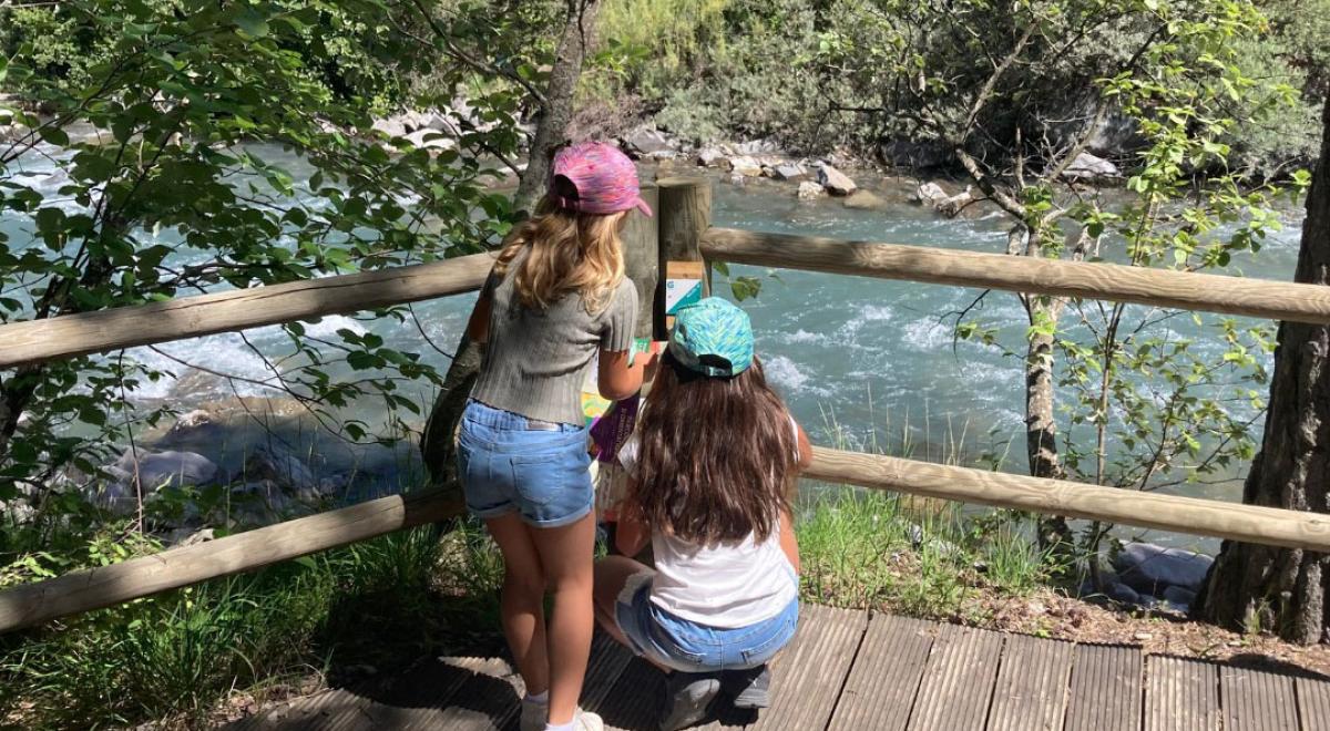 Parcours d'orientation des Thuiles - Parcours d'orientation des Thuiles