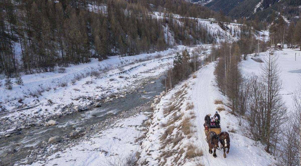 Provence Equiservices - Traîneau équin à Saint-Paul-sur-Ubaye - Provence Equiservices - Traîneau équin