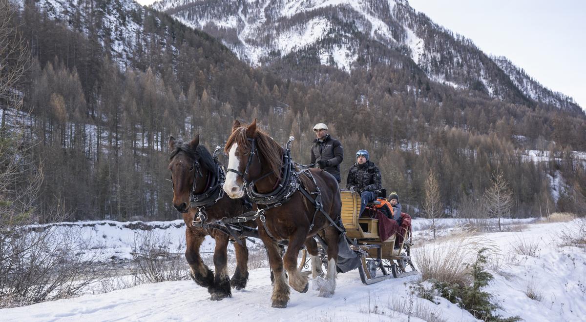 Provence Equiservices - Traîneau équin à Saint-Paul-sur-Ubaye - Provence Equiservices - Traîneau équin