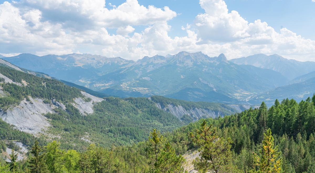 GR®56 - Etape 9 : Refuge de La Pare - La Fresquière/Méolans - Point de vue depuis la forêt de la Pare