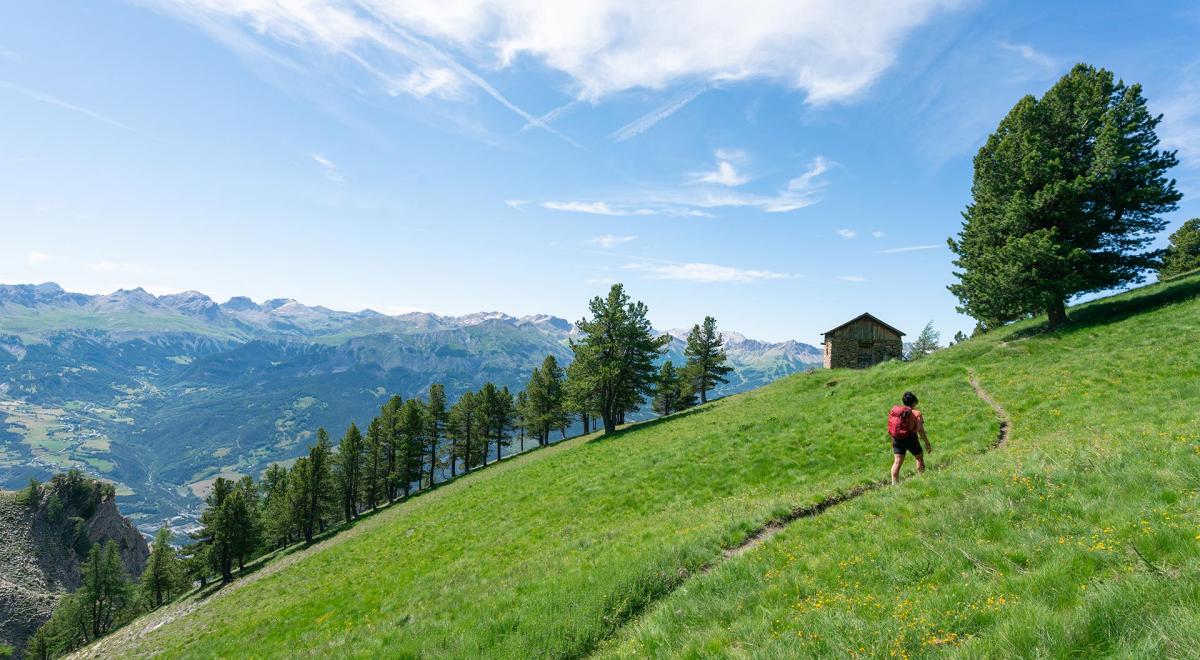 Pointe Fine - randonnée à Jausiers - Randonnée à Pointe Fine