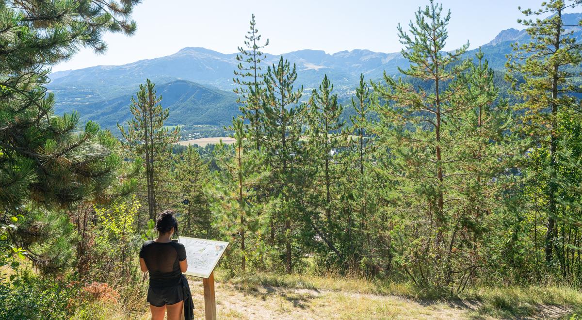 Promenade du Verger - Barcelonnette - Halte 4 de la Promenade du Verger : Les oiseaux