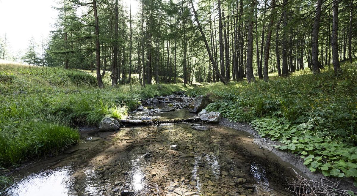 Tour de la Pierre Eclatée - randonnée à Uvernet-Fours - Tour de la Pierre Eclatée