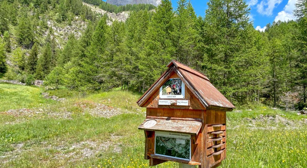 Sentier Lavergan court - Ruche des sentiers lavergans