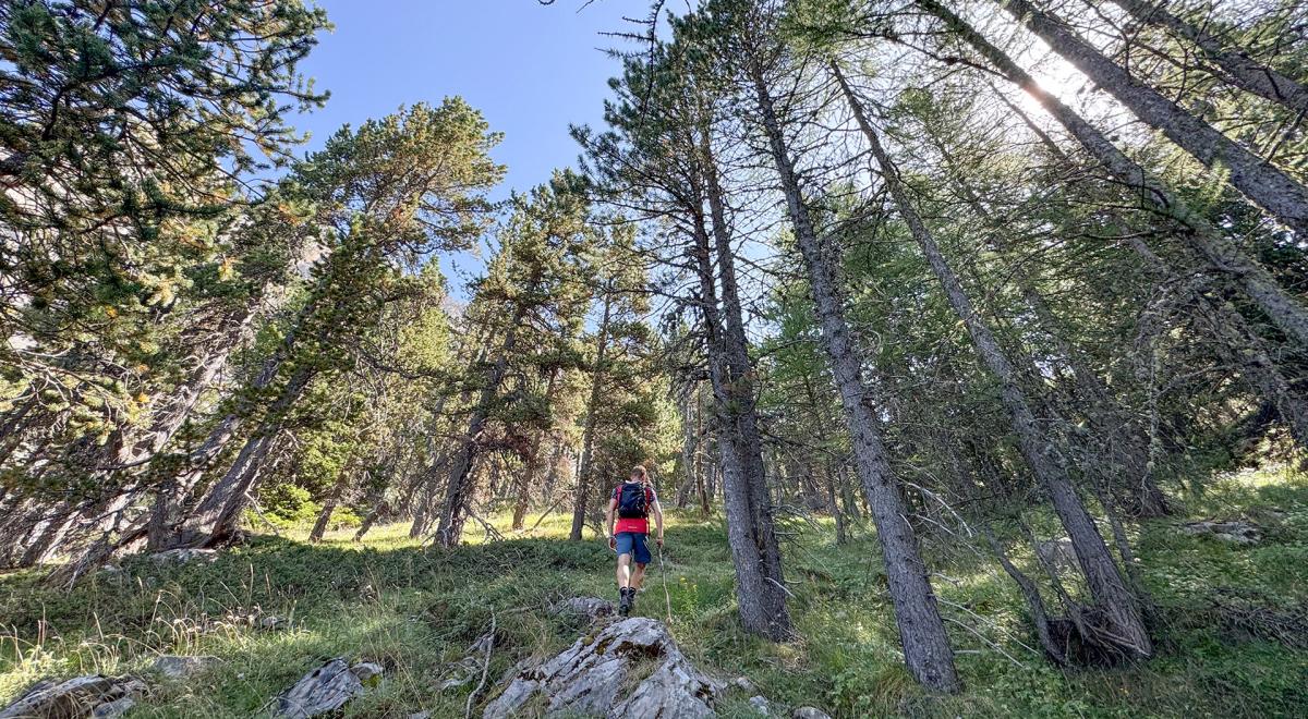 Randonnée Col de Terre Blanche - Méolans-Revel - Randonnée Col de Terre Blanche