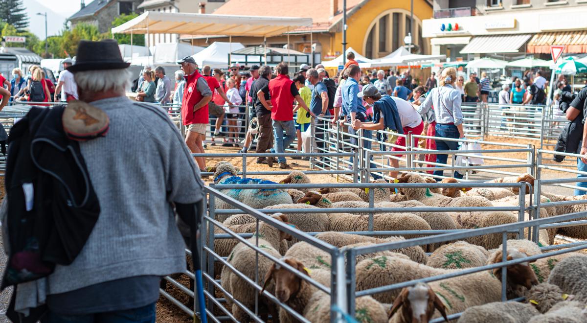 Foire de la Saint-Michel à Barcelonnette - Foire de la Saint-Michel à Barcelonnette