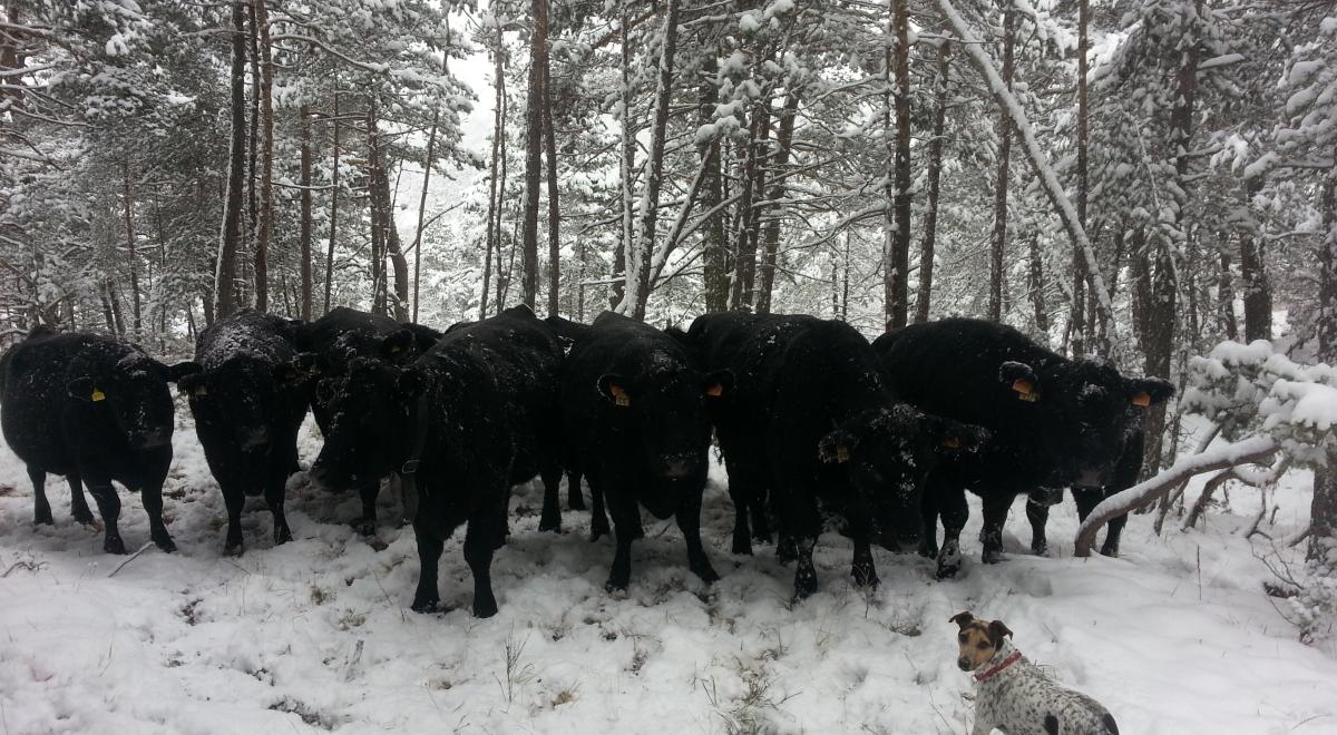 Visite gratuite de la Ferme des Pélissones_Seyne