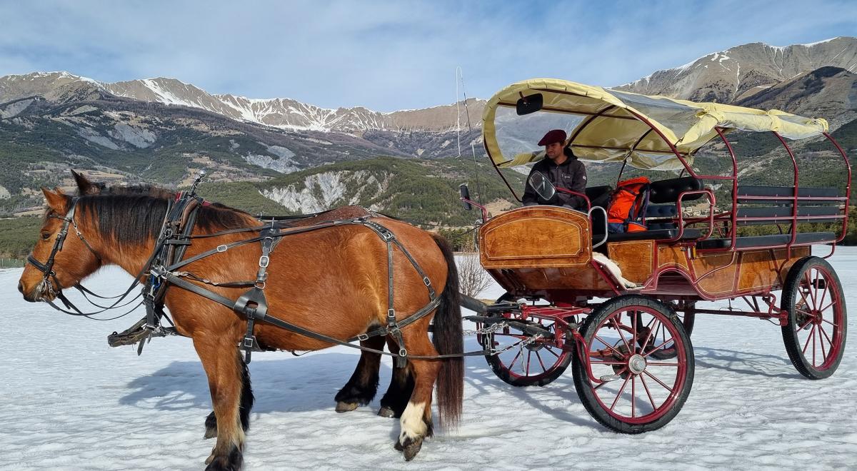 Balade en calèche - Balade en calèche