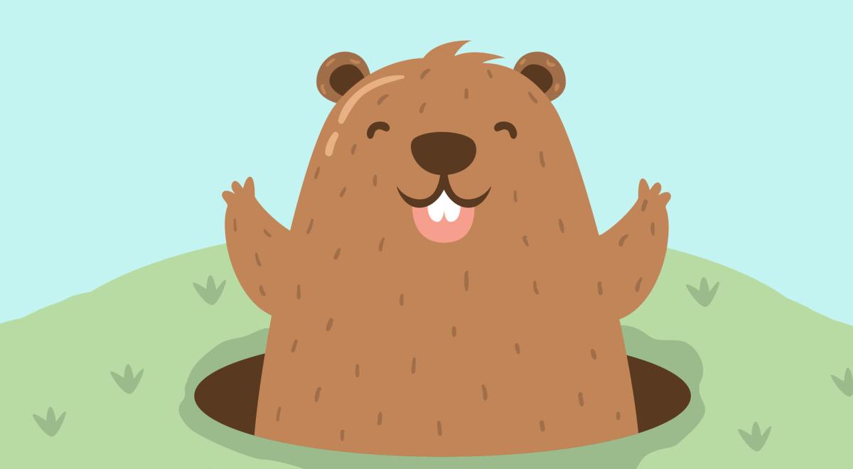 Marmotte Stories - Marmotte Stories