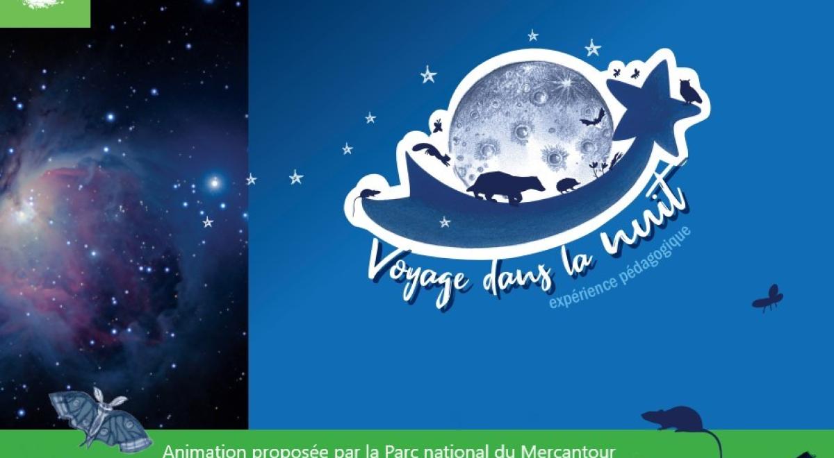 Animaux nocturnes - Animaux nocturnes
