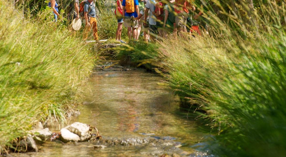 Rando curieuse : Carrières et canaux de Guillestre_Guillestre - Guillestre canal