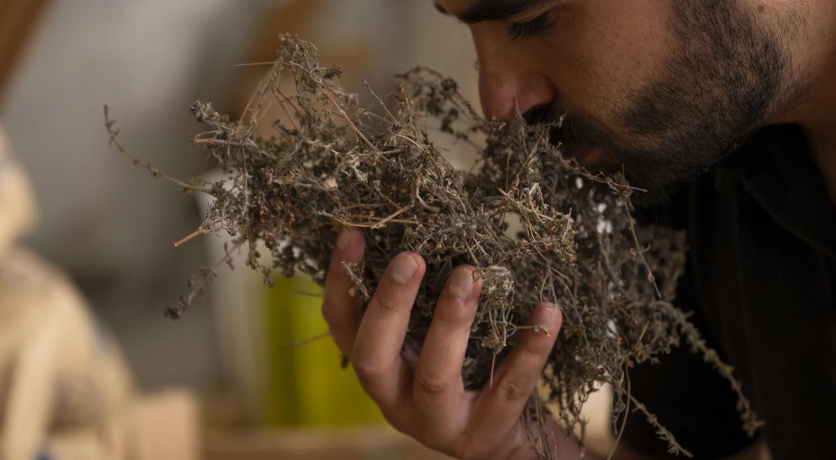 Visite de la liquoristerie La Vinciane - Visite de la liquoristerie La Vinciane