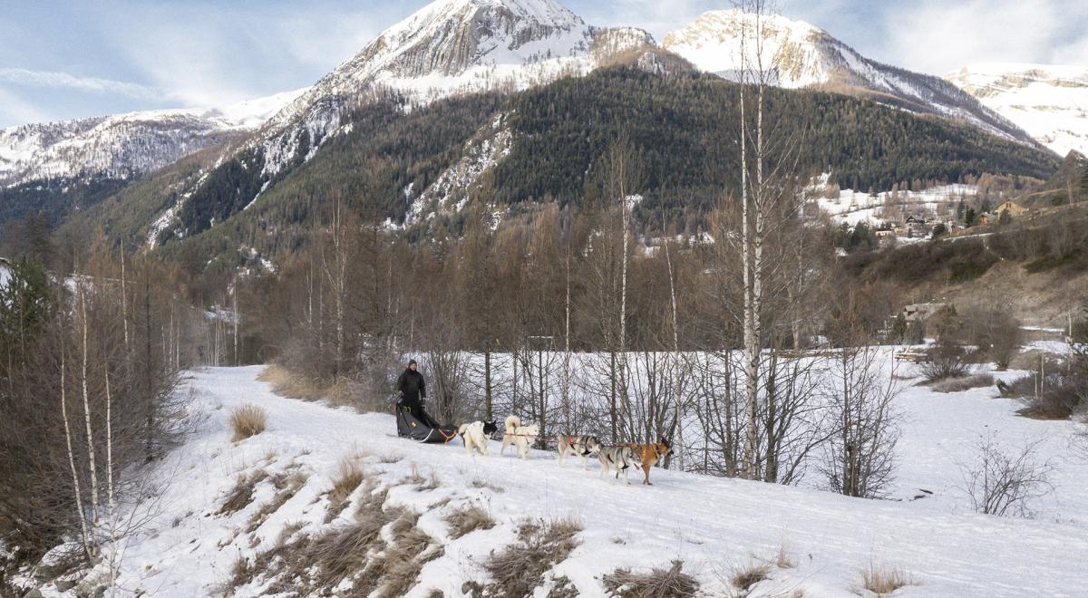 Journée découverte du site multi-activités de Saint-Paul - Baptême en chiens de traîneau sur le site multi-activités de Saint-Paul
