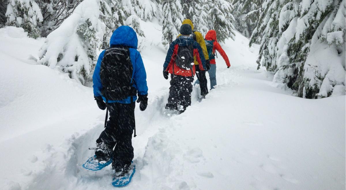 Yoga Raquette_Pra Loup 1600 - Raquette