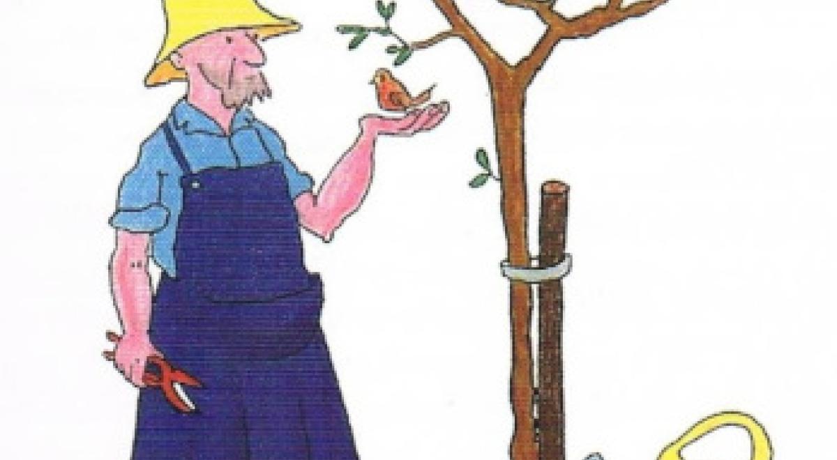 Journée taille et greffe des arbres fruitiers_Seyne - Taille et cueillette d'un arbre fruitier