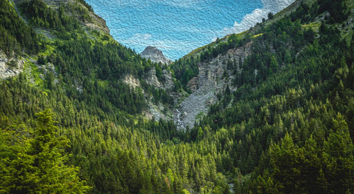 Exposition Les arbres en couleurs – Sous les branches de l’art