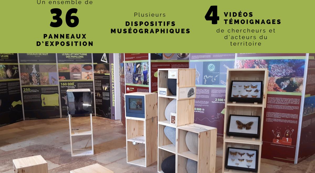 Expo "Coup de Projecteur sur la Biodiv" - Expo Biodiv invisible