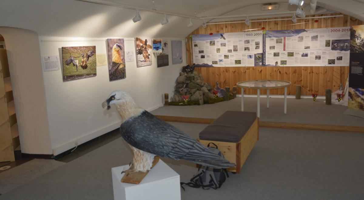 Salle Exposition Estivale Sapiniere