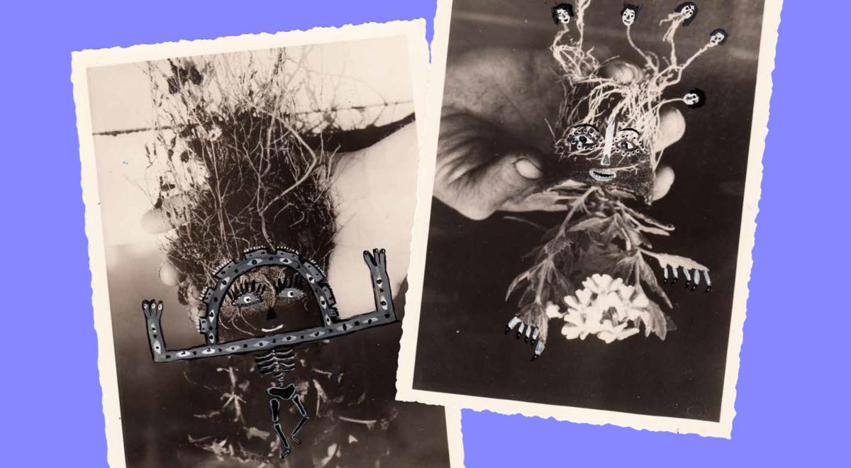 Centre d'art "L'art vient à vous" - Jausiers - Karine Rougier, Sans titre, de la série Touching of nature, 2017