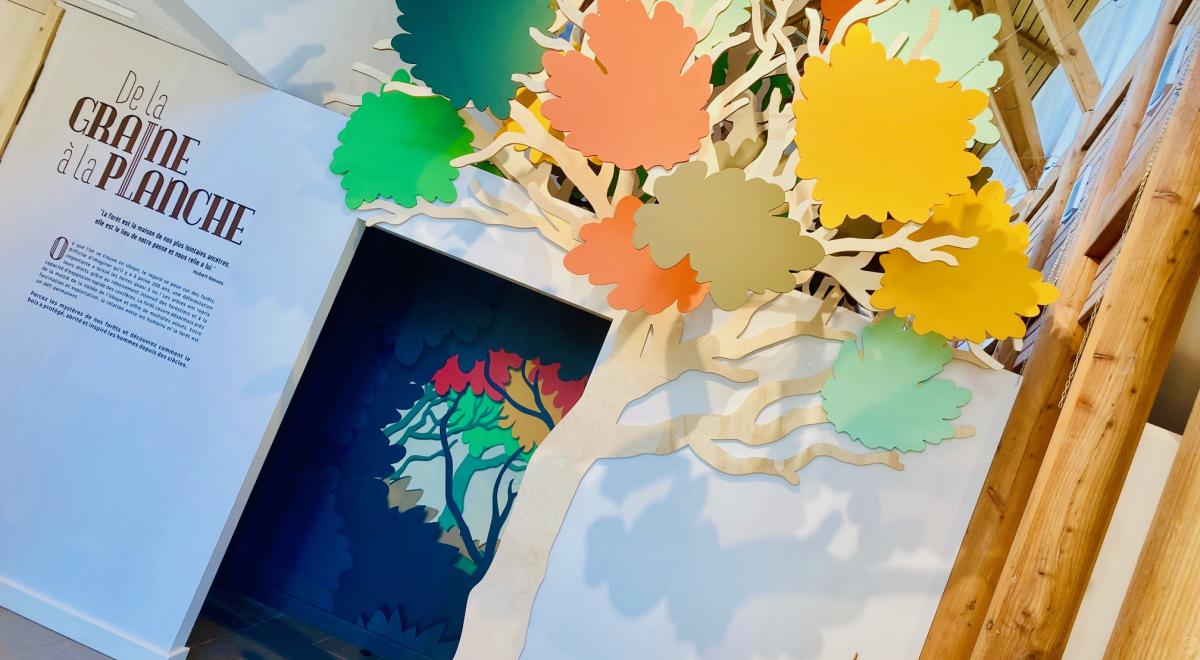 Maison du Bois et de la Forêt de Méolans-Revel - Entrée du parcours museographique