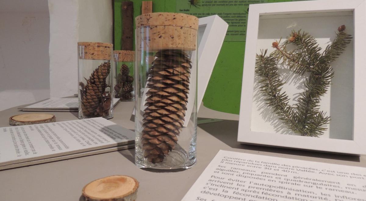 Musée du Lauzet-Ubaye - Des montagnes et des hommes - Musée du Lauzet-Ubaye - Des montagnes et des hommes