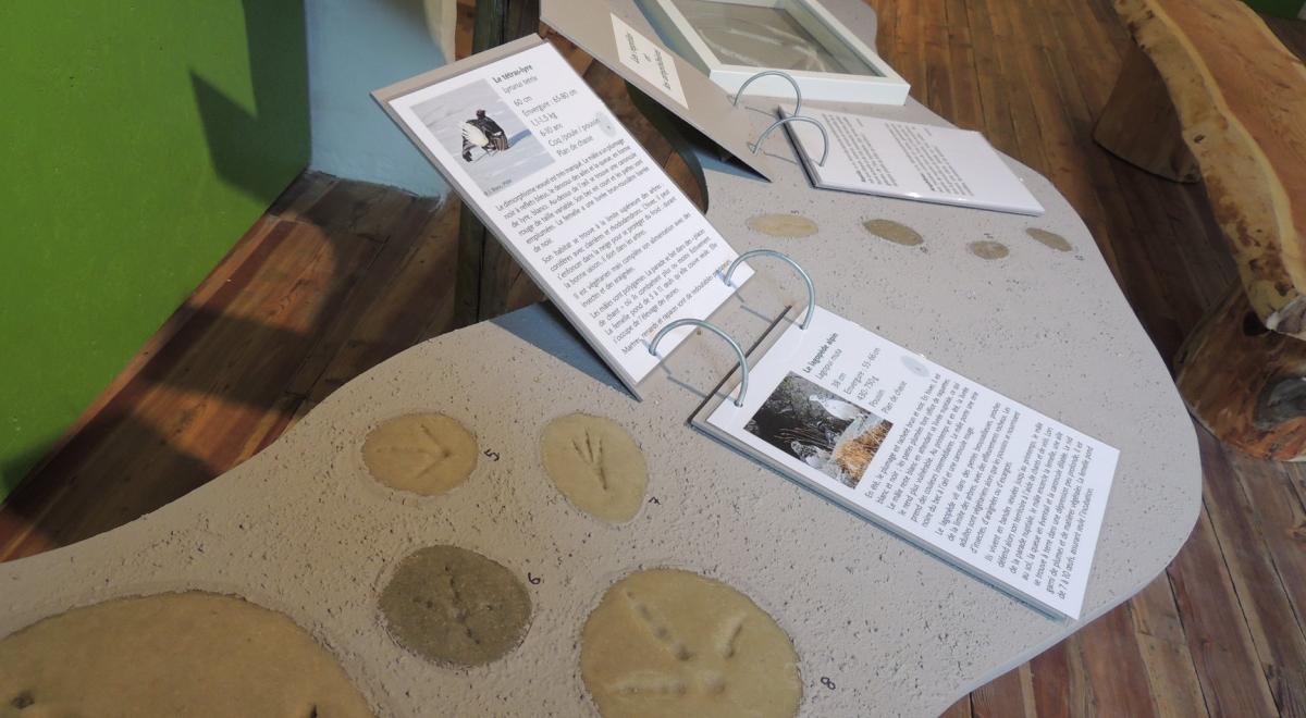 Musée du Lauzet-Ubaye - Des montagnes et des hommes - Musée du Lauzet-Ubaye - Des montagnes et des hommes