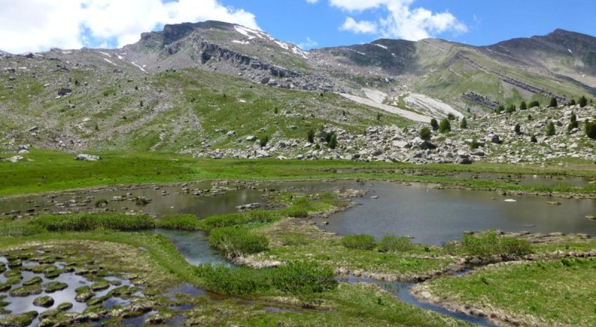 Les Eaux Tortes - SA - CD Alpes de Haute-Provence - Les Eaux Tortes