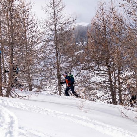 Itinéraire ski de randonnée balisé du Sauze - Les Cabanes - Itinéraire ski de randonnée balisé du Sauze - Les Cabanes
