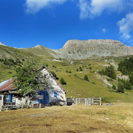 La Cabane des mulets n°15 - La Cabane des mulets