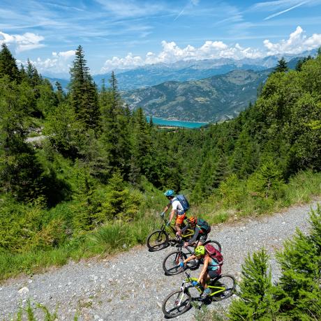 VTT n°1 - Saint-Vincent-les-Forts - VTT n°1 - Saint-Vincent-les-Forts VTT n°1 - Saint-Vincent-les-Forts - VTT n°1 - Saint-Vincent-les-Forts