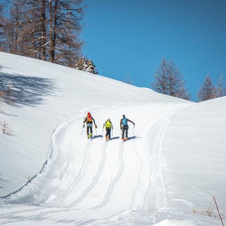 Alpine - Alpine