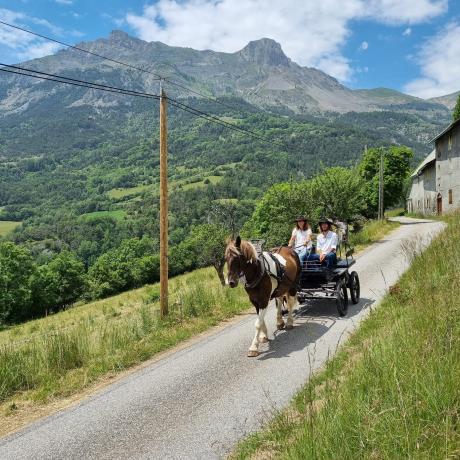 Les Crinières des Cimes - Balade en calèche à Rioclar - Les Crinières des Cimes